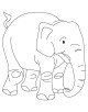 Baby Animals Coloring Page