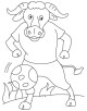 Bull Coloring Page