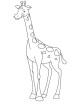 Baby Animals Coloring Page