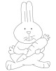 Baby Animals Coloring Page
