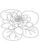 Lotus Flower Coloring Page
