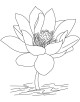 Lotus Flower Coloring Page