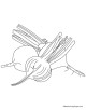 Beetroot coloring page