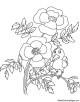 Poppy Flower Coloring Page