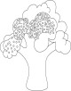 Broccoli Coloring Page Broccoli Coloring Page