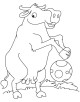 Buffalo Coloring Page
