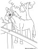 Horse Coloring Page