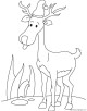 Reindeer Coloring Page
