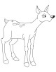 Baby Animals Coloring Page