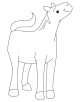 Baby Animals Coloring Page