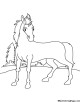 Horse Coloring Page