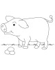 Baby Animals Coloring Page