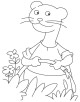 Ferret Coloring Page