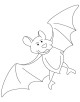 Bat Bird Coloring Page