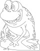 Frog Coloring Page