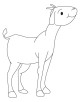 Baby Animals Coloring Page