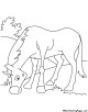 Horse Coloring Page