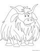 Yak Coloring Page