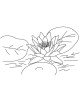 Lotus Flower Coloring Page