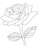 Rose Flower Coloring Page