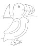 Puffin on seashore coloring page