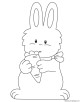 Rabbit Coloring Page