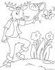 Reindeer Coloring Page