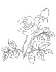 Rose Flower Coloring Page