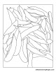 Beans coloring page