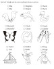 Misc English Activity Worksheets-2