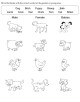 Misc English Activity Worksheets-2