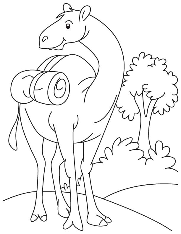 OO se ount coloring page OO se ount coloring page