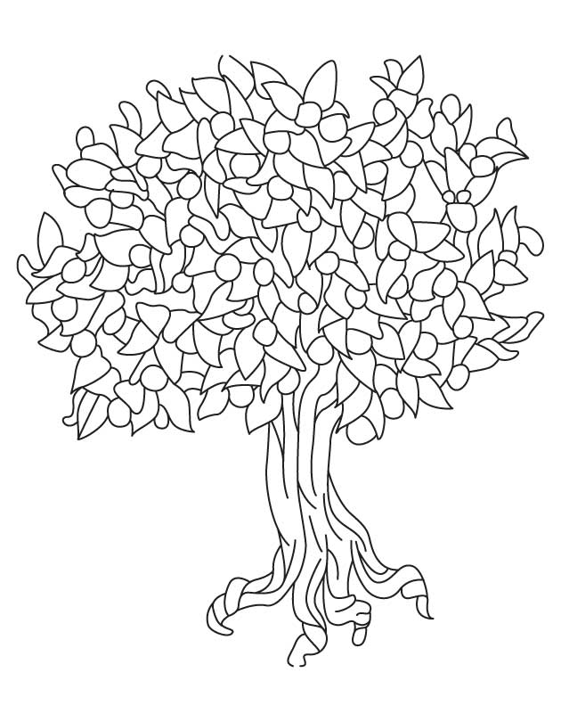 Alabama State Tree Fruit Peach Alabama State Tree Fruit Peach