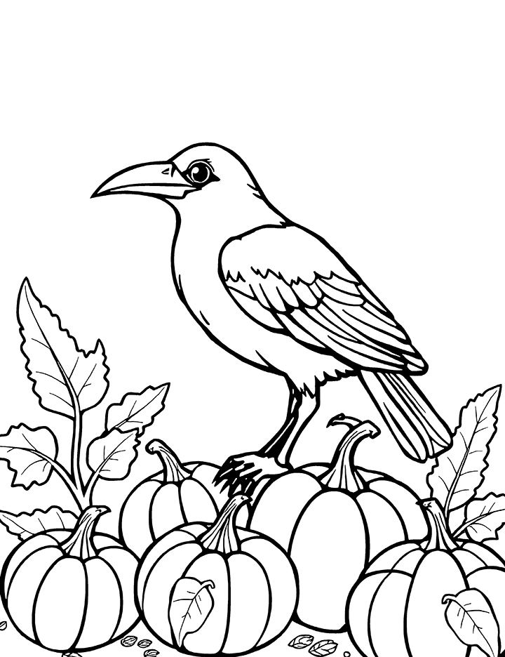 Crow bird with pumpkins coloring page Crow bird with pumpkins coloring page