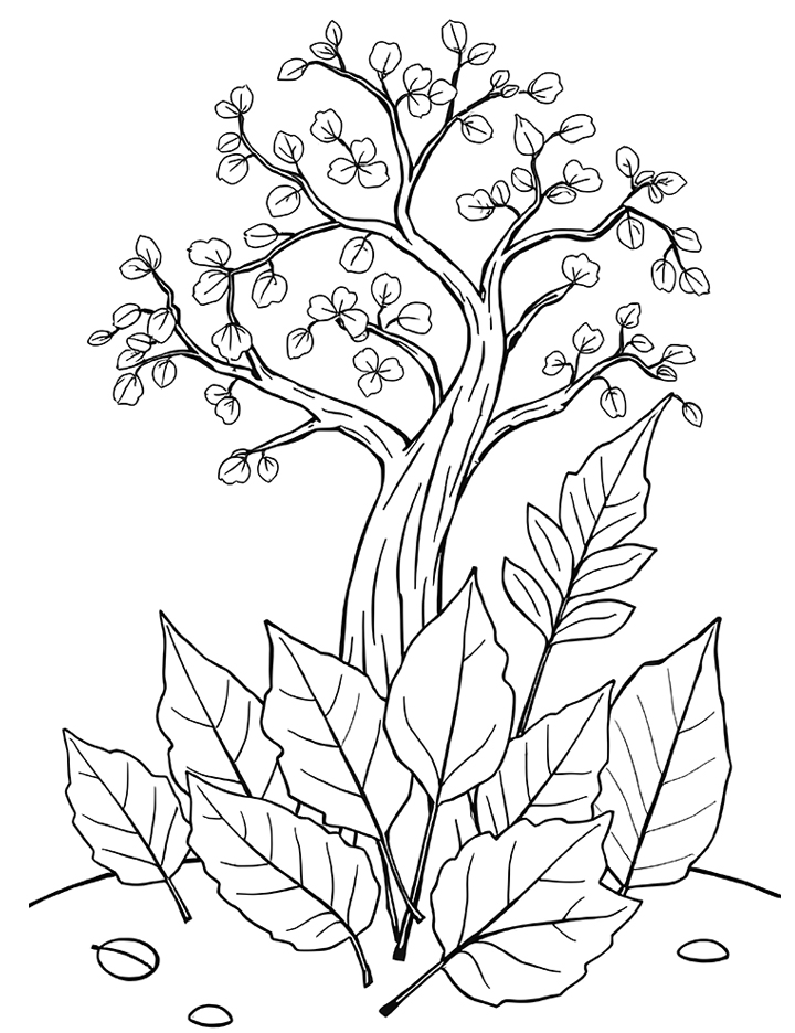 Fall leaves coloring page Fall leaves coloring page
