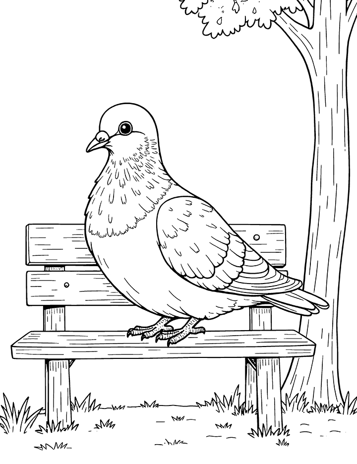 Pigeon resting on a bench coloring page Pigeon resting on a bench coloring page