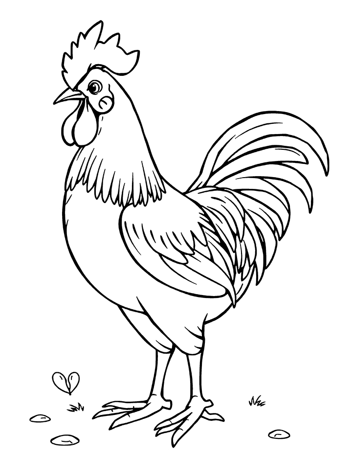 Rooster looking for hen coloring page Rooster looking for hen coloring page