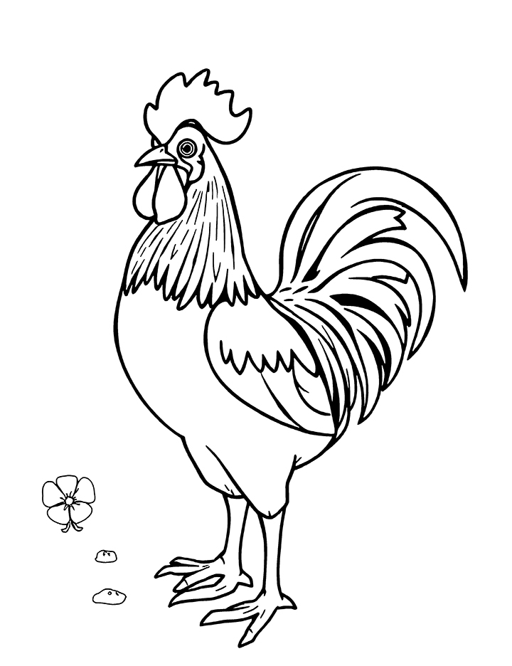 Rooster outline coloring page Rooster outline coloring page