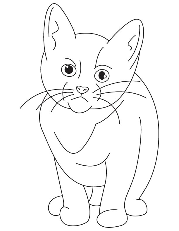 Very sad kitten coloring page Very sad kitten coloring page