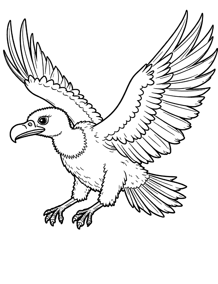 vulture flying coloring page vulture flying coloring page