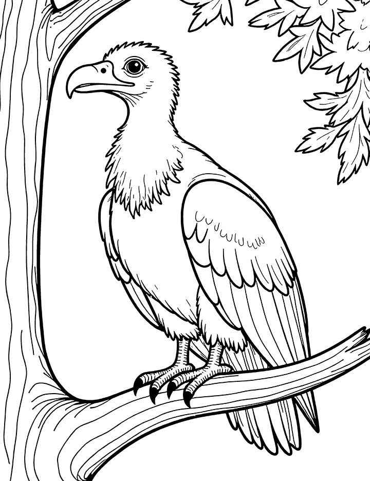 Vulture waiting coloring page Vulture waiting coloring page