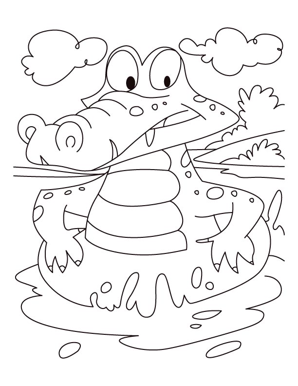 Alligator on a swim drill coloring pages Alligator on a swim drill coloring pages