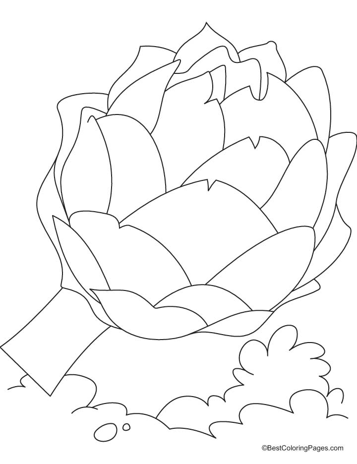 Fresh artichoke coloring pages Fresh artichoke coloring pages