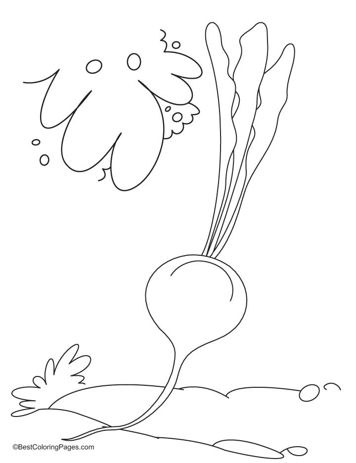 Beetroon in field coloring pages Beetroon in field coloring pages
