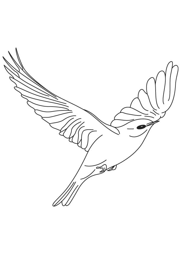 bright bluebird flying coloring page bright bluebird flying coloring page