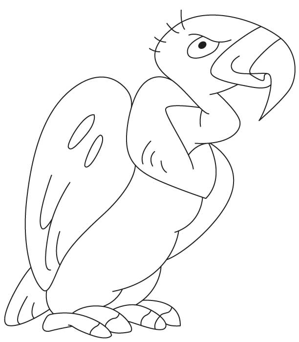 Cartoon vulture coloring page Cartoon vulture coloring page