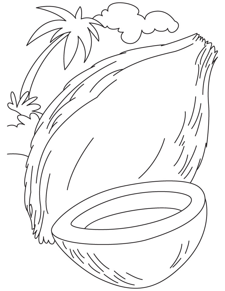 Coconut fruit coloring pages Coconut fruit coloring pages