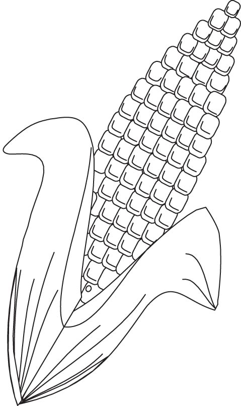 Corn coloring page Corn coloring page