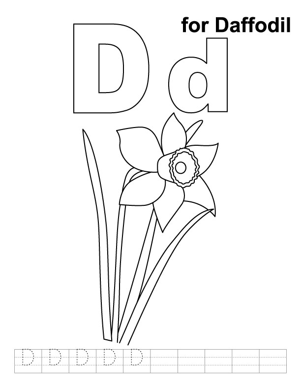 D for daffodil coloring page with handwriting practice D for daffodil coloring page with handwriting practice