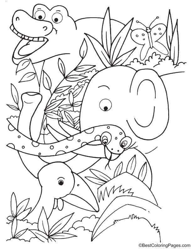 duck with forest animals coloring page duck with forest animals coloring page